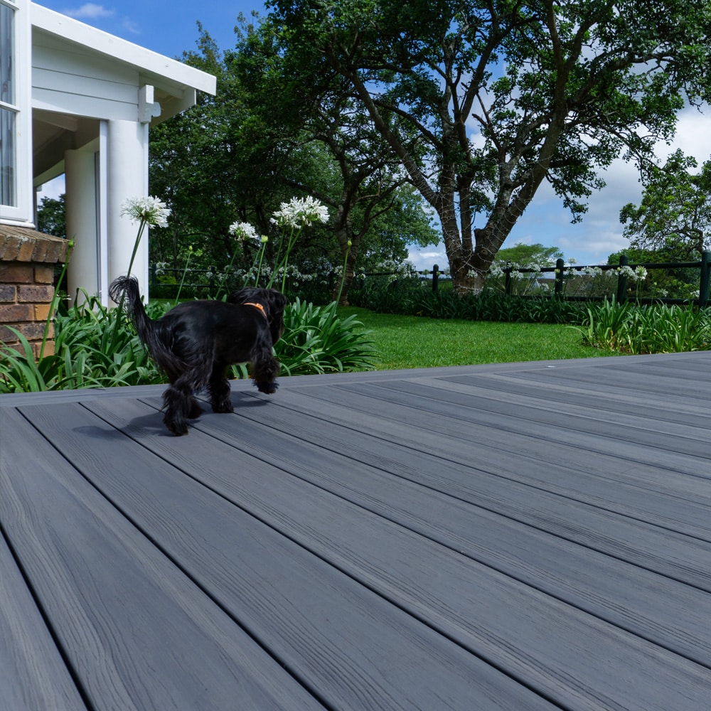 Backyard deck made with Eva-Last Infinity IS Concrete Grey boards, showing a black dog walking along the sleek, textured surface.