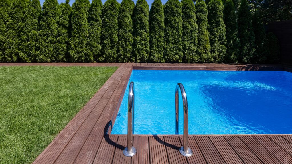 Rectangular pool with minimalist deck and evergreen privacy trees.