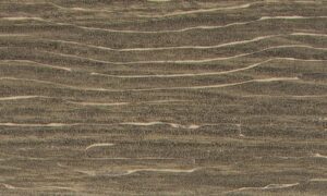 MoistureShield Vision Sandstone composite deck board swatch with warm gray-brown wood grain
